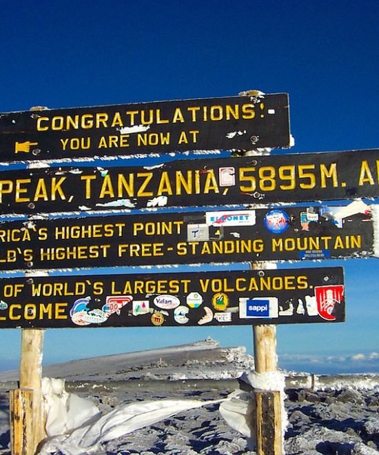 7 Days Trekking Lemosho Route