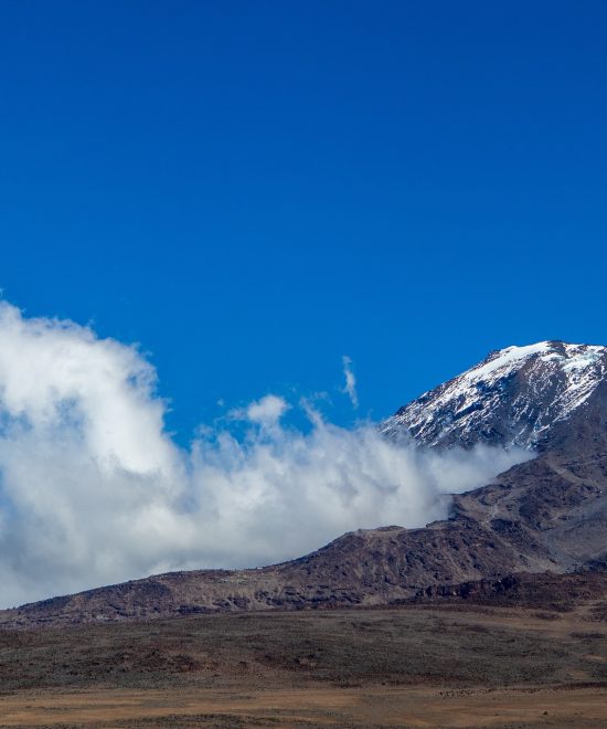 7 Days Trekking Machame Route